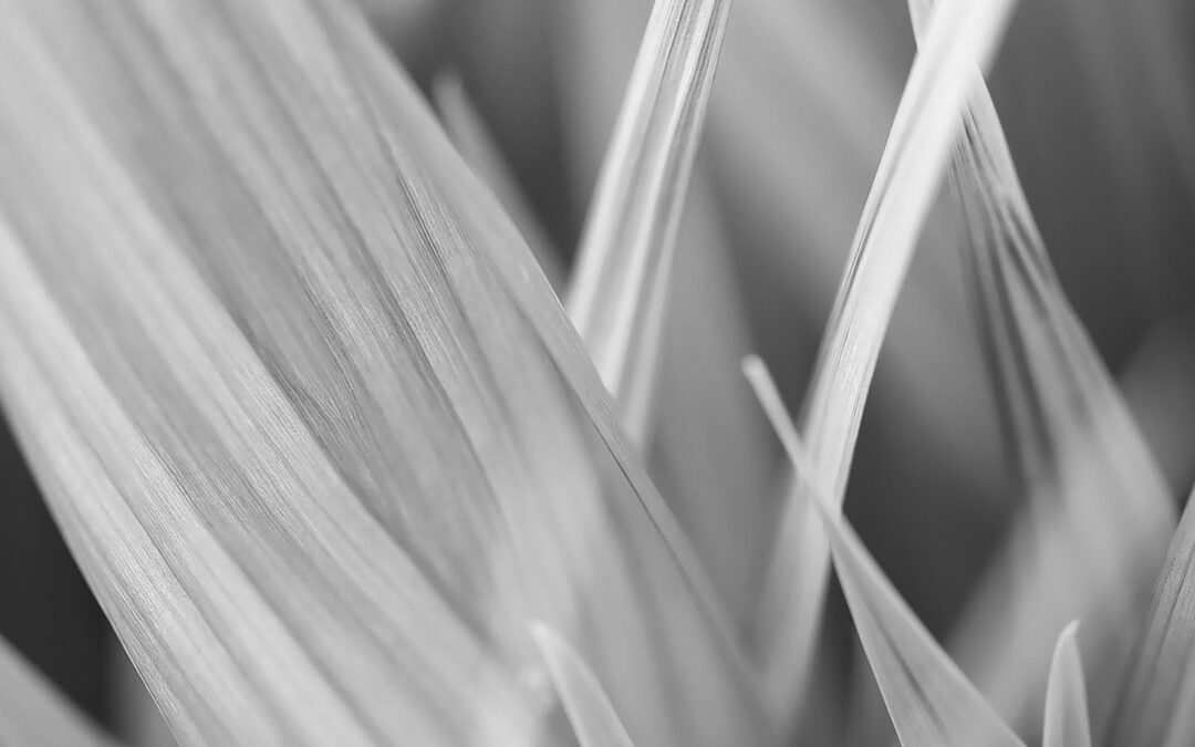 rwb_bilder_hintergrund_fachbereiche_09