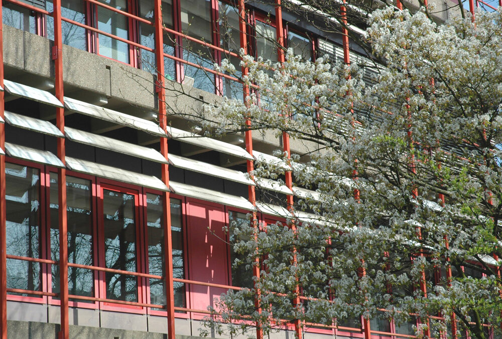RWB Essen – Rundgang Gebäude – Außengelände