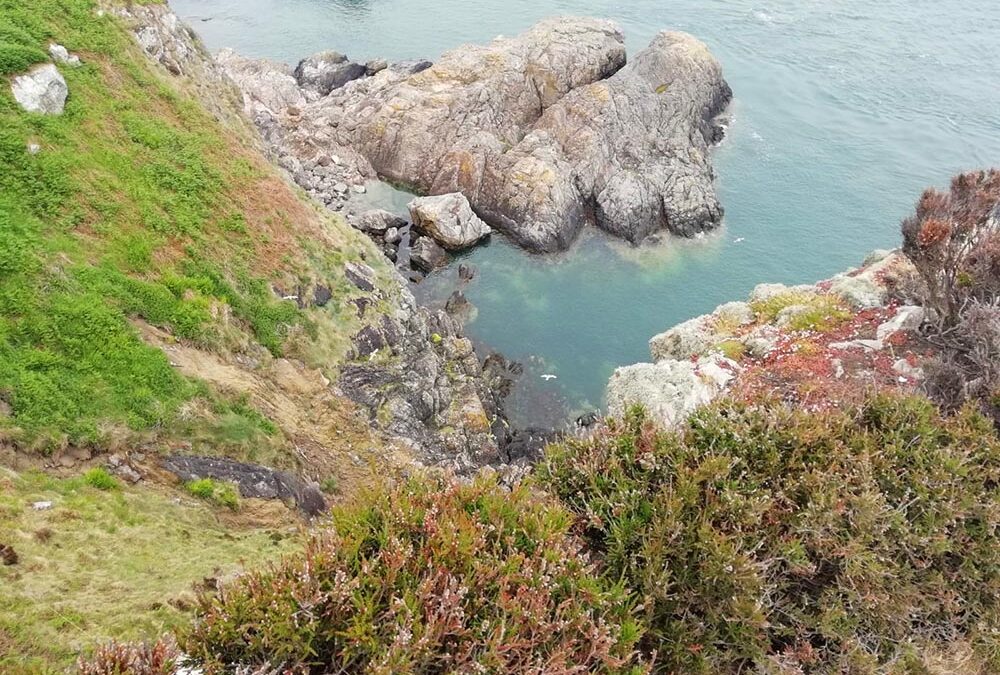RWB Essen – Studienfahrt nach Dublin –  Besuch der Halbinsel Howth Head
