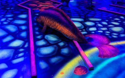 Echt verrückt: 3D Schwarzlicht-Minigolf